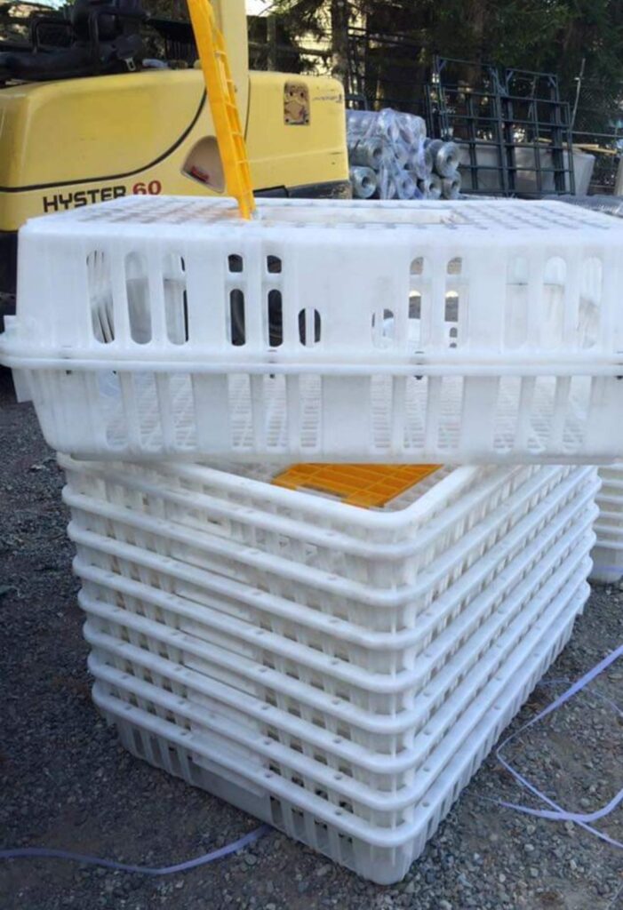 Poultry & Rabbit Crates, (Stocked Products), $52 & $39 – Alaska Farm Supply