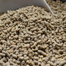 16% Corn & Soy Free Layer Pellets, Available end of April, $33 16% Corn & Soy Free Layer Pellets, Available end of April, $33