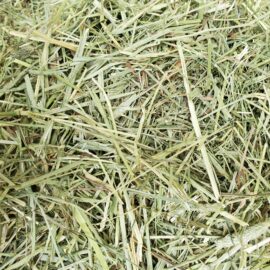 Premium Soft Timothy Hay Bags (Stocked Product), $5