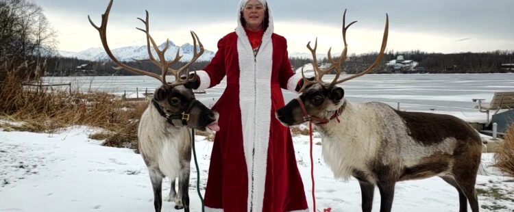 Reindeer Events
