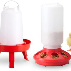 Chic Feeder & Drinker (Stocked Products), $10