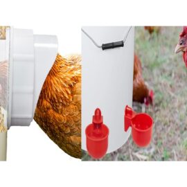 Gravity Poultry Feeder & Waterer (Stocked Products), $3