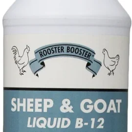 Sheep & Goat B-12 (Stocked Products), $19 & $35