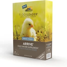 Flock Leader Arrive (Stocked Product), $14