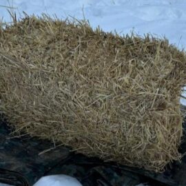 Delta Big Bale Straw (Stocked Product), $17