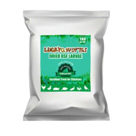 Black Soldier Fly Larvae (Stocked Products), $32 & $65