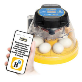 Mini 2 Connect Incubator (Stocked Product), $349