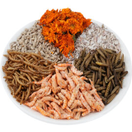 6in1 Apollo1 (Stocked Product), $42