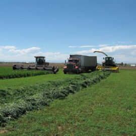 Premium Liquid Fertilizers, Agricultural Surfactants & Specialty Crop Yeild Enhancer Products